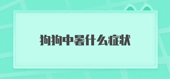 狗狗中暑是什么症状