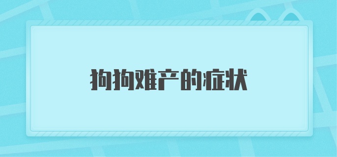 狗狗难产的症状