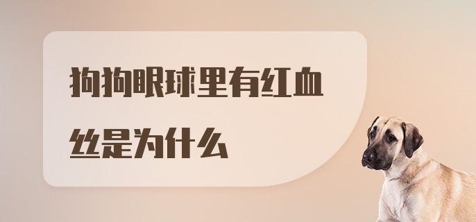 狗狗眼球里有红血丝是为什么