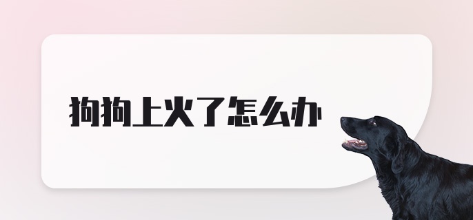 狗狗上火了怎么办