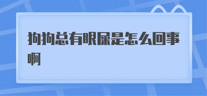 狗狗总有眼屎是怎么回事啊