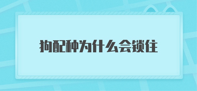 狗配种为什么会锁住