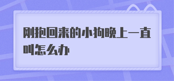 刚抱回来的小狗晚上一直叫怎么办