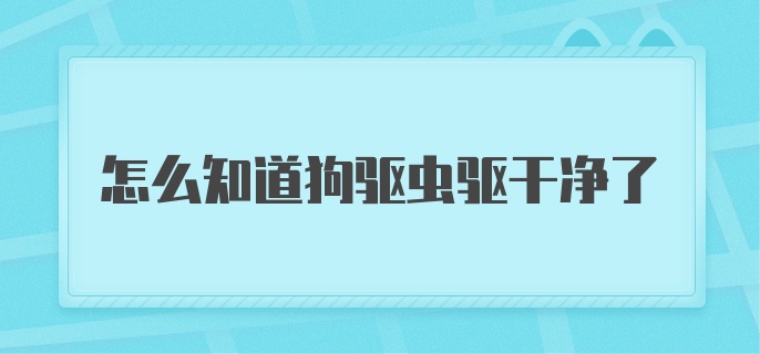 怎么知道狗驱虫驱干净了