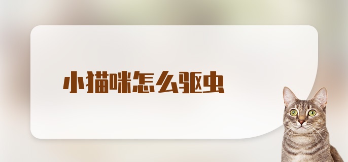 小猫咪怎么驱虫