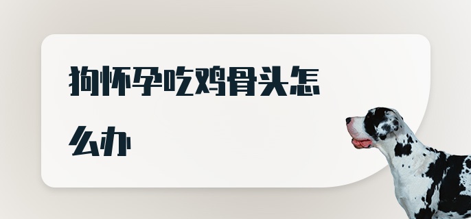 狗怀孕吃鸡骨头怎么办