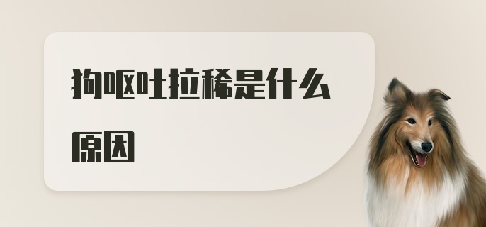 狗呕吐拉稀是什么原因