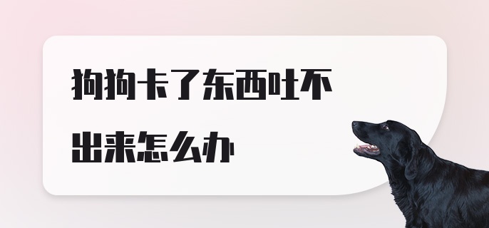 狗狗卡了东西吐不出来怎么办