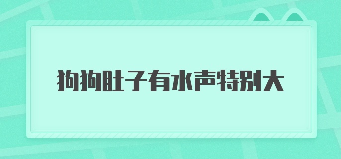 狗狗肚子有水声特别大