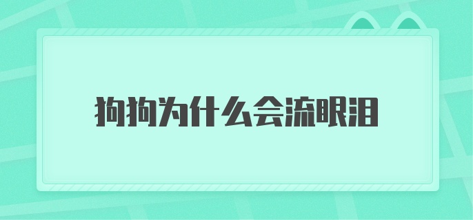 狗狗为什么会流眼泪