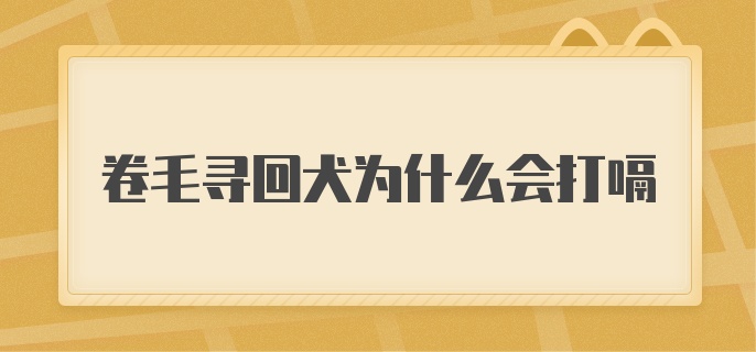 卷毛寻回犬为什么会打嗝