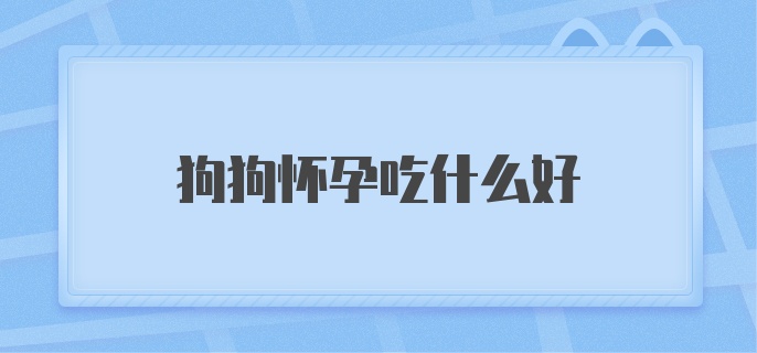 狗狗怀孕吃什么好