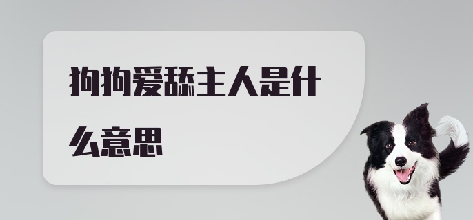 狗狗爱舔主人是什么意思