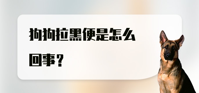 狗狗拉黑便是怎么回事？