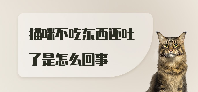 猫咪不吃东西还吐了是怎么回事