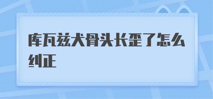 库瓦兹犬骨头长歪了怎么纠正