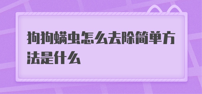 狗狗螨虫怎么去除简单方法是什么