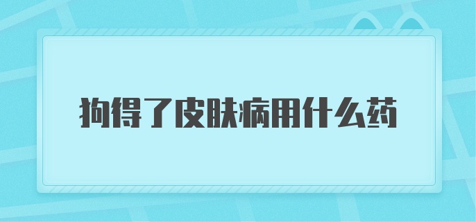 狗得了皮肤病用什么药