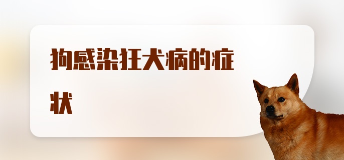 狗感染狂犬病的症状