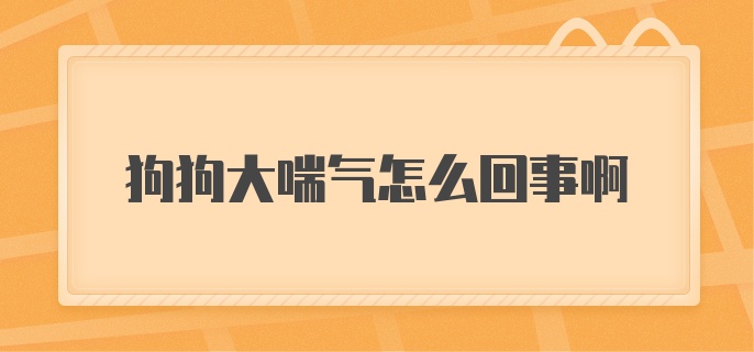 狗狗大喘气怎么回事啊