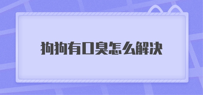 狗狗有口臭怎么解决