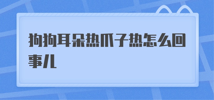 狗狗耳朵热爪子热怎么回事儿