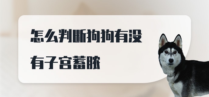 怎么判断狗狗有没有子宫蓄脓