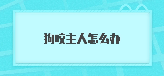 狗咬主人怎么办