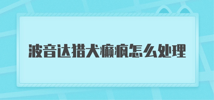 波音达猎犬癫疯怎么处理