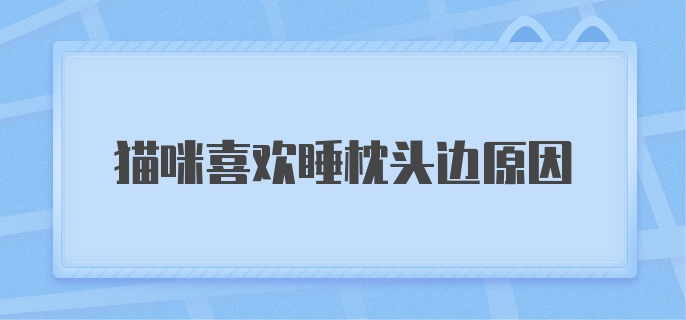 猫咪喜欢睡枕头边原因