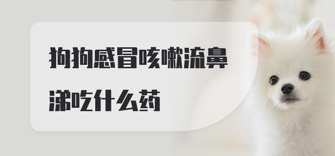 狗狗感冒咳嗽流鼻涕吃什么药