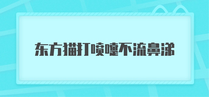 东方猫打喷嚏不流鼻涕