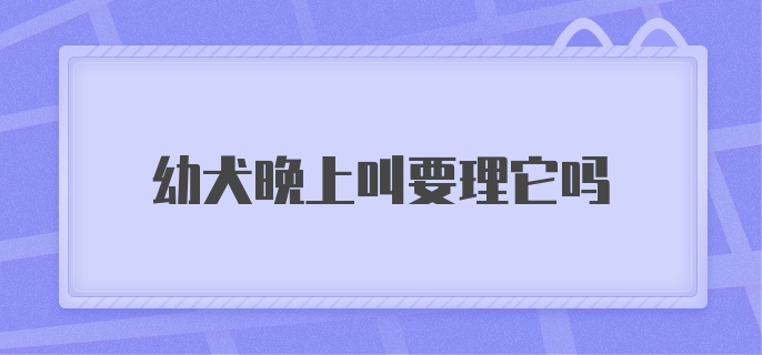 幼犬晚上叫要理它吗