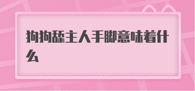 狗狗舔主人手脚意味着什么