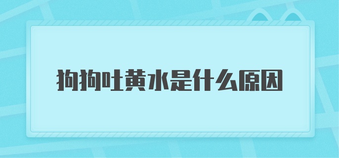 狗狗吐黄水是什么原因