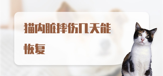 猫内脏摔伤几天能恢复