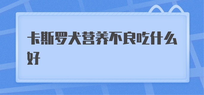 卡斯罗犬营养不良吃什么好