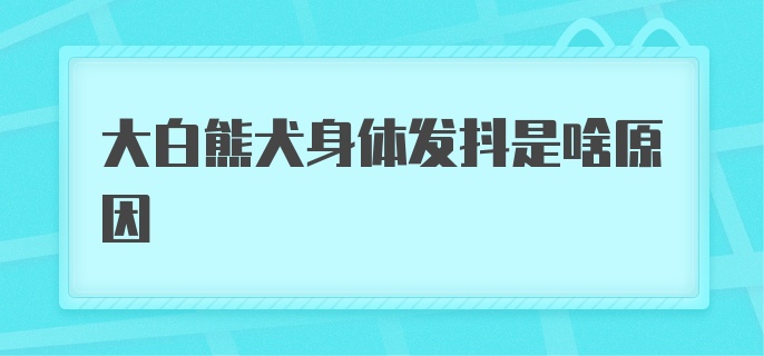 大白熊犬身体发抖是啥原因