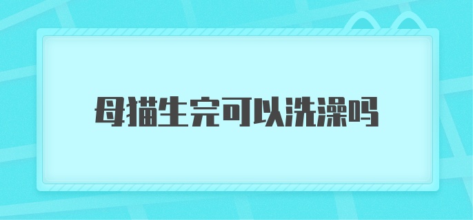 母猫生完可以洗澡吗