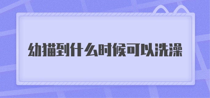 幼猫到什么时候可以洗澡