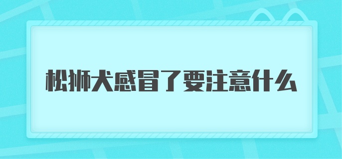 松狮犬感冒了要注意什么