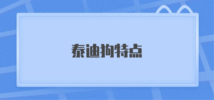 泰迪狗特点