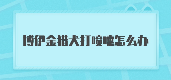 博伊金猎犬打喷嚏怎么办