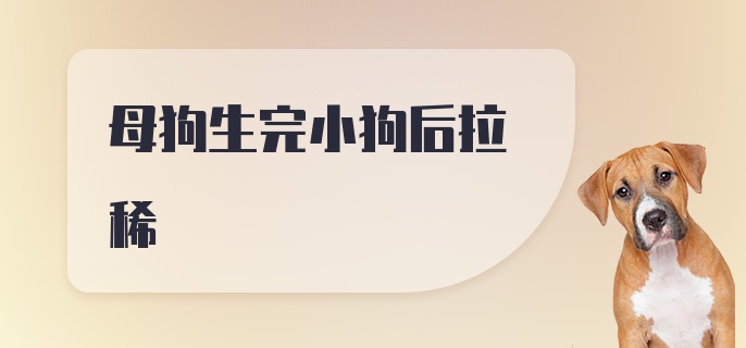 母狗生完小狗后拉稀