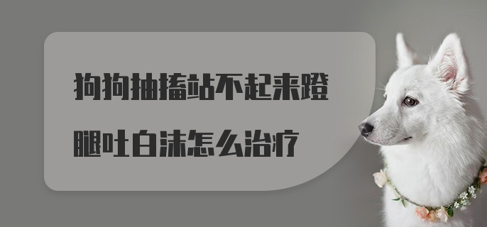 狗狗抽搐站不起来蹬腿吐白沫怎么治疗