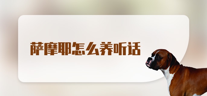 萨摩耶怎么养听话