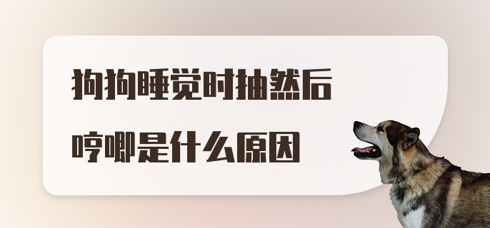 狗狗睡觉时抽然后哼唧是什么原因