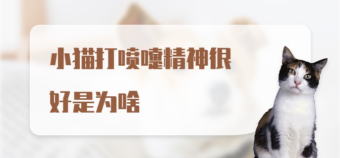 小猫打喷嚏精神很好是为啥