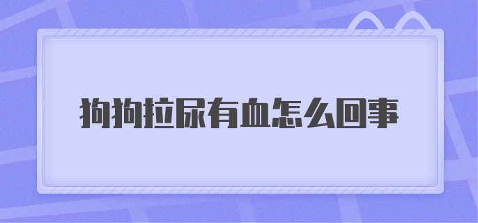 狗狗拉尿有血怎么回事