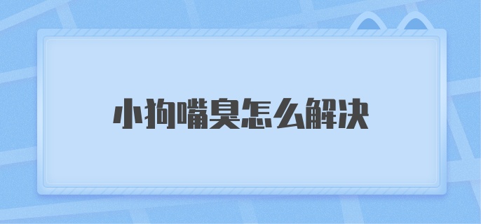 小狗嘴臭怎么解决